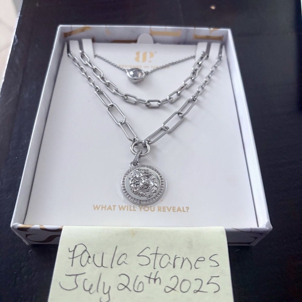 Elegant Silver Layered Necklace